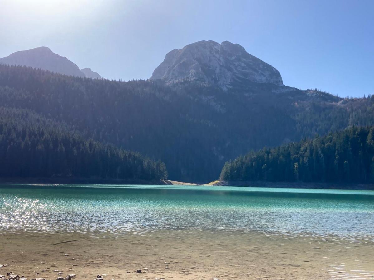 Mountain Soul Rest Villa Zabljak  Bagian luar foto