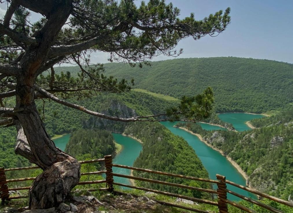 Mountain Soul Rest Villa Zabljak  Bagian luar foto