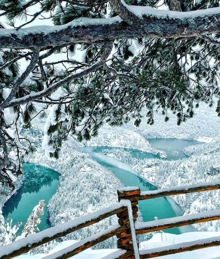 Mountain Soul Rest Villa Zabljak  Bagian luar foto